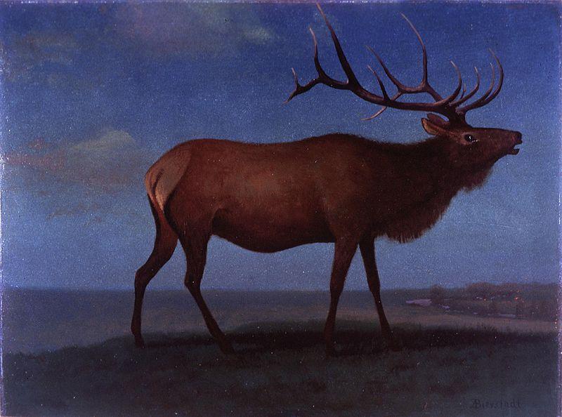 Albert Bierstadt Buffalo Bill Historical Center oil painting picture